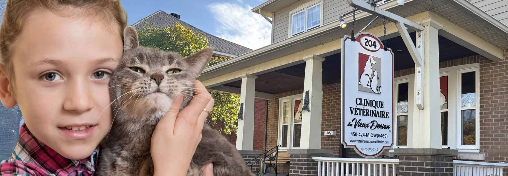 clinique Vétérinaire du Vieux-Dorion